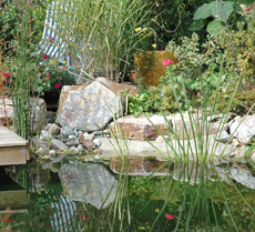 Gartenbau und Landschaftsbau, Blumen Gärtnerei Zickwolff
